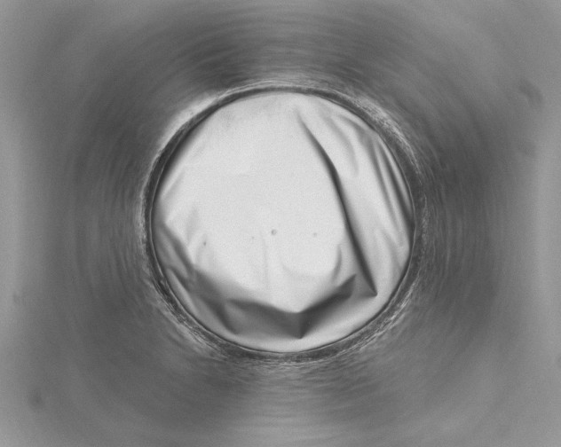 X0000115731230200912031359