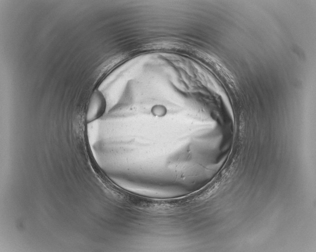 X0000115731233200912031359