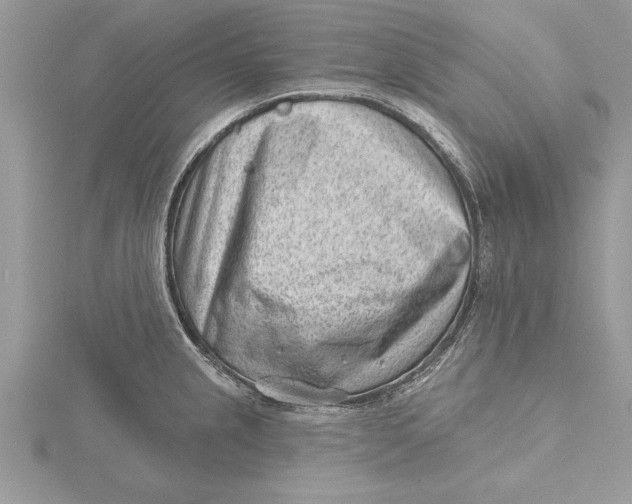 X0000115731237200912031359