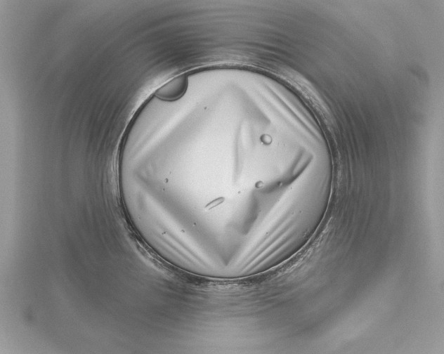 X0000115731242200912031359