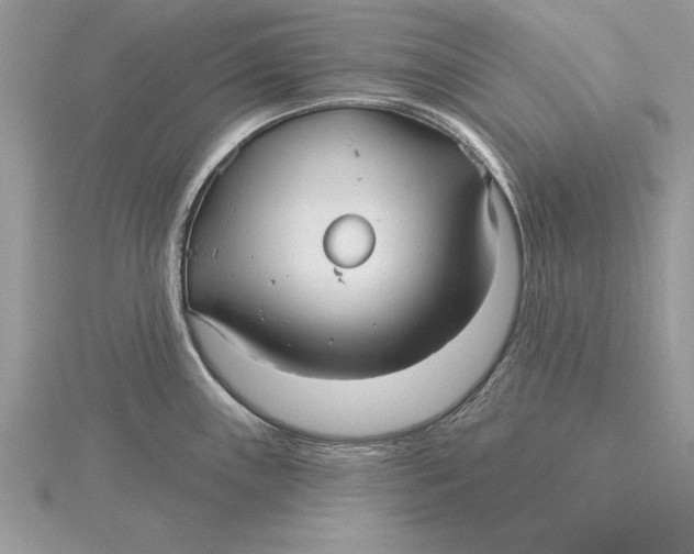 X0000115731243200912031359