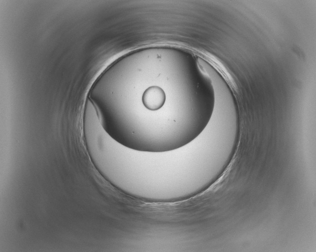 X0000115731244200912031359