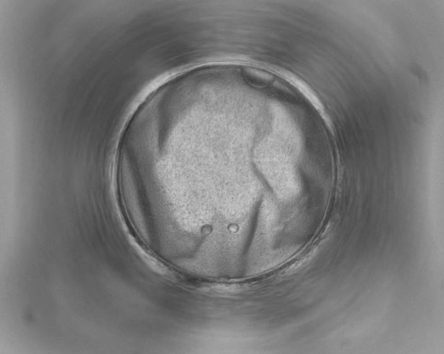 X0000115731245200912031359