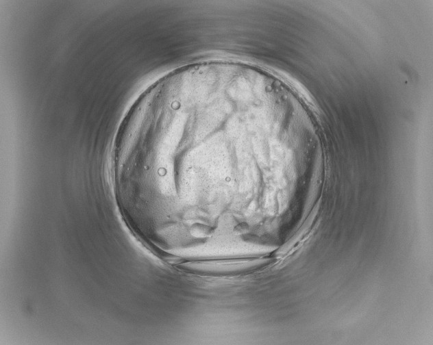 X0000115731247200912031359