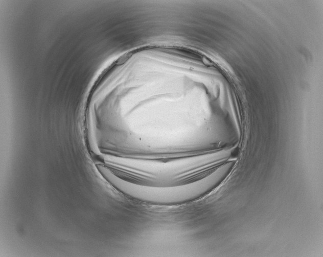 X0000115731248200912031359