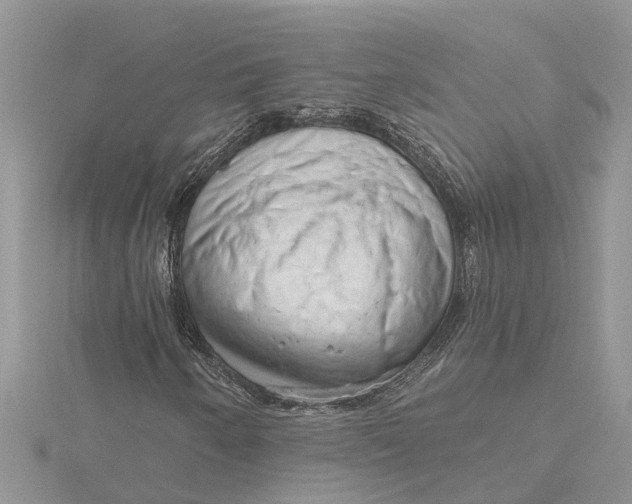 X0000115731250200912031358