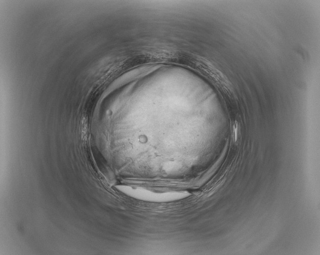 X0000115731251200912031358