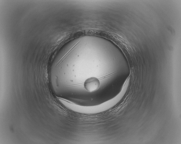 X0000115731252200912031358