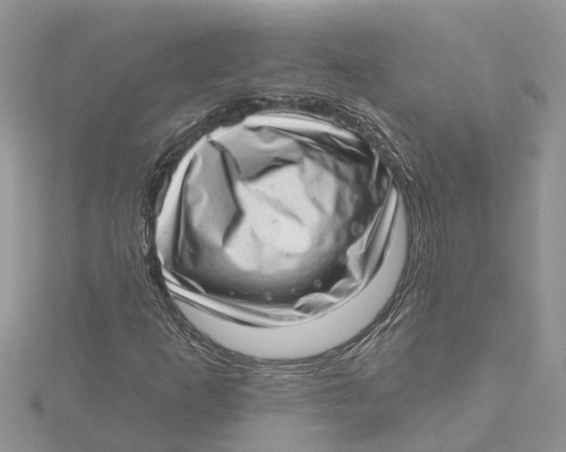 X0000115731253200912031358