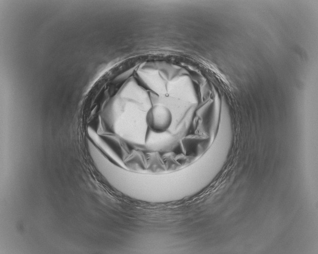 X0000115731256200912031358