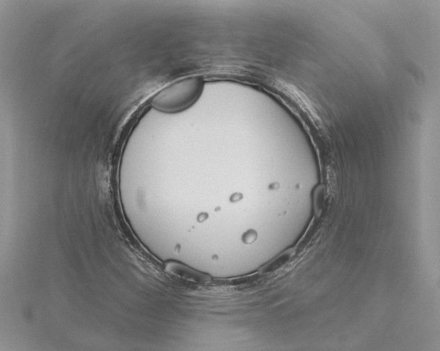 X0000115731260200912031358