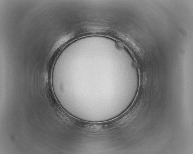 X0000115731261200912031358