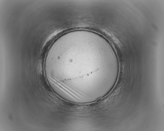 X0000115731262200912031358