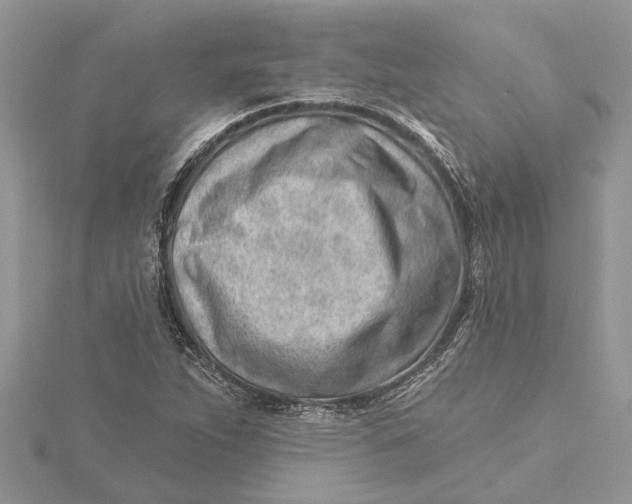 X0000115731263200912031358