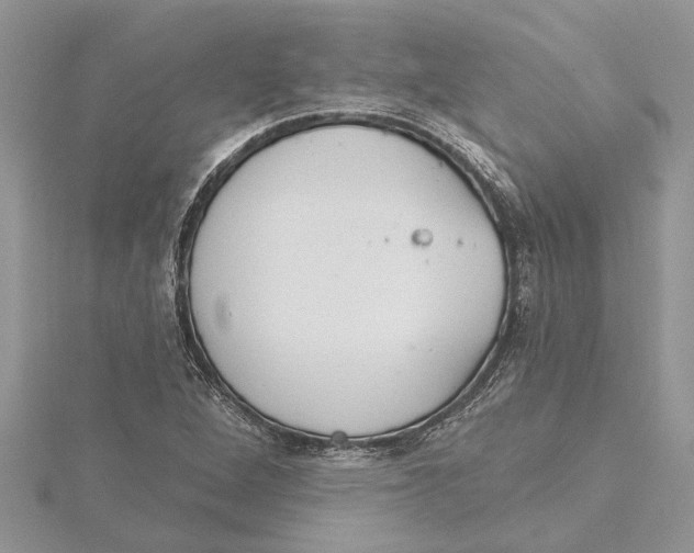 X0000115731264200912031358