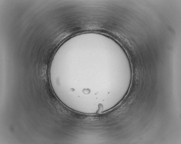 X0000115731265200912031358