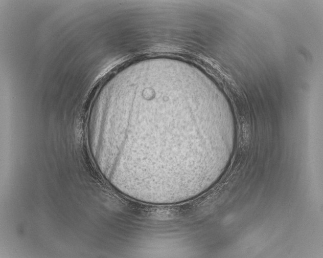 X0000115731266200912031358