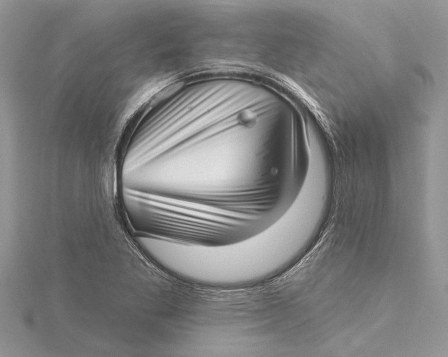 X0000115731269200912031358