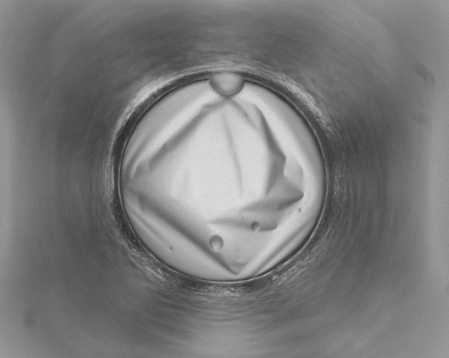 X0000115731270200912031358