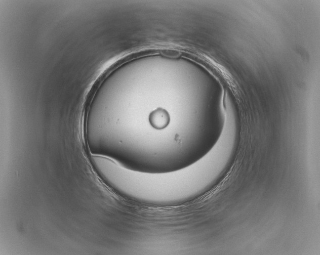 X0000115731272200912031358