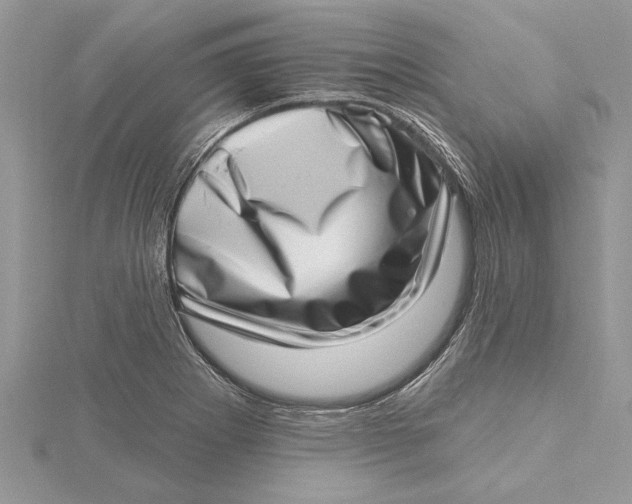 X0000115731273200912031358