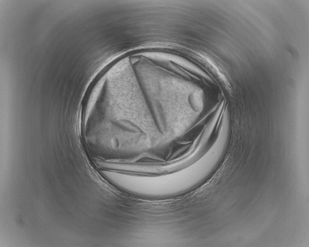 X0000115731276200912031358