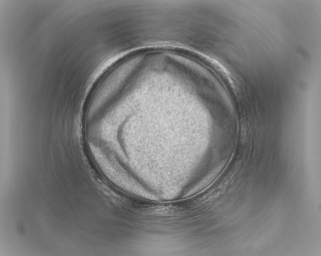 X0000115731279200912031358