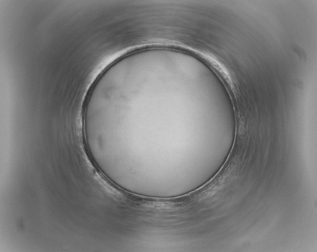 X0000115731287200912031358