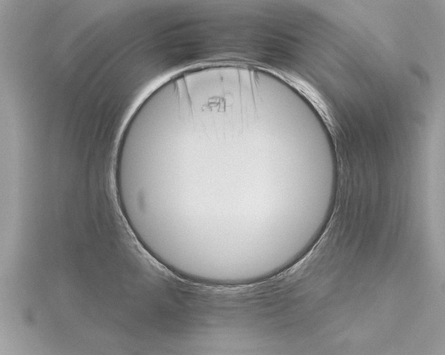 X0000115731288200912031358