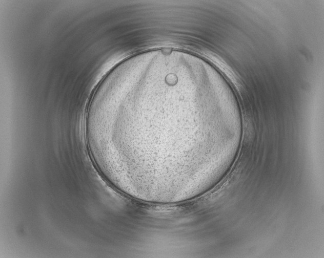 X0000115731290200912031358