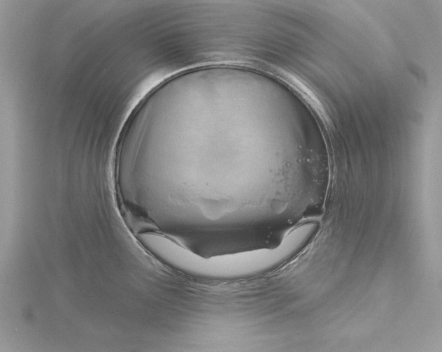 X0000115731291200912031358