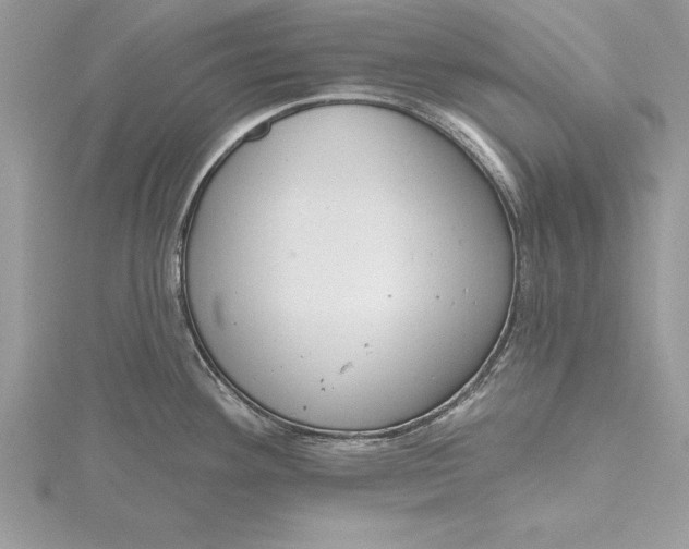 X0000115731292200912031358