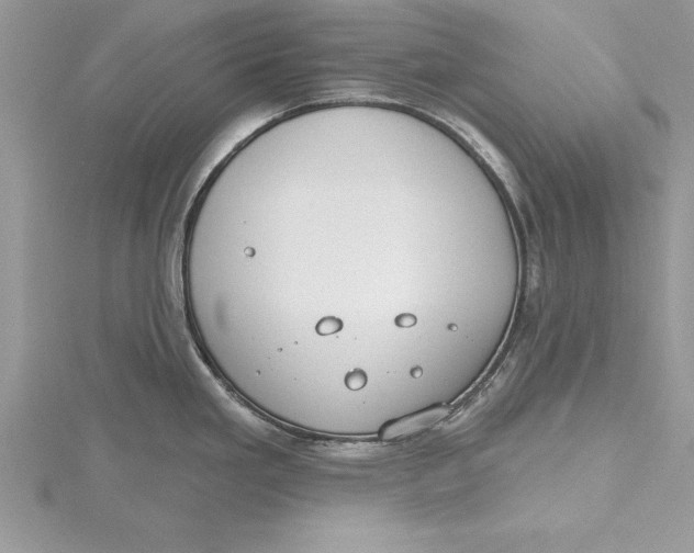 X0000115731293200912031358