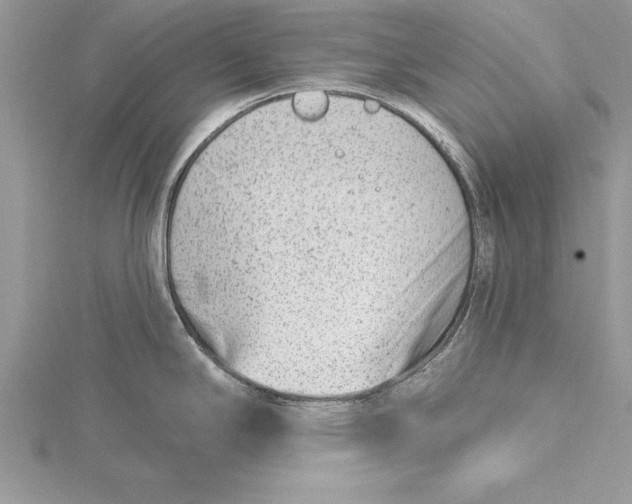 X0000115731294200912031358