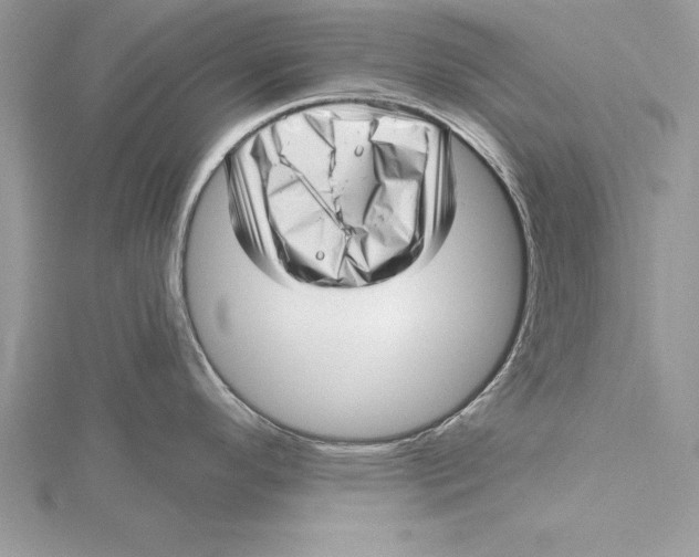 X0000115731296200912031358