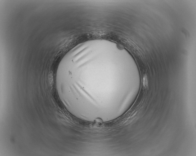 X0000115731299200912031357