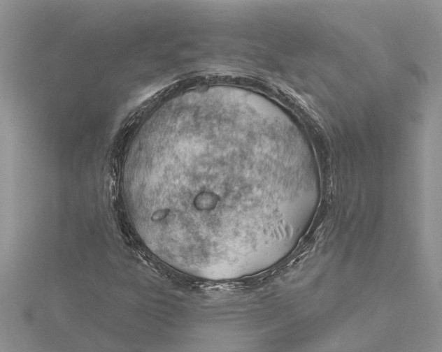 X0000115731303200912031357