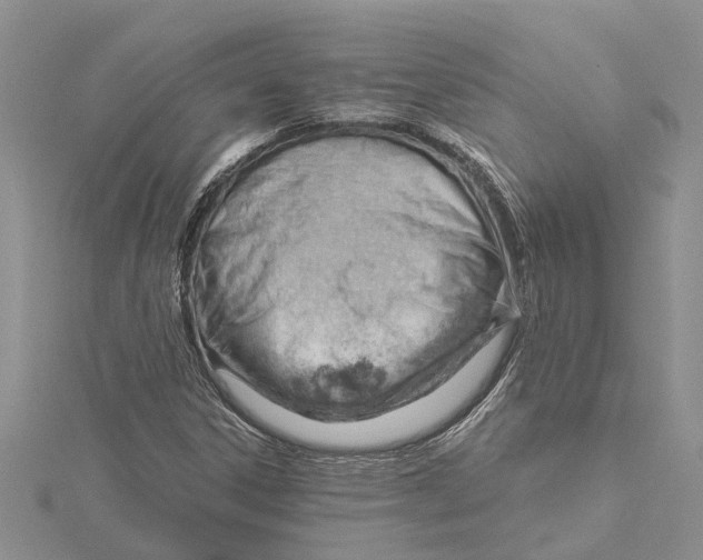 X0000115731306200912031357