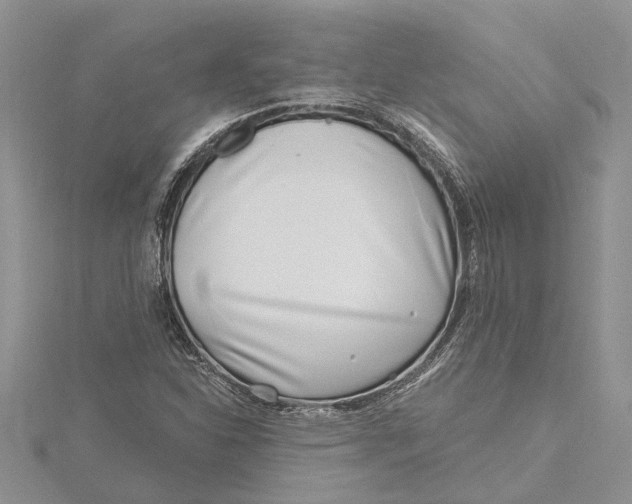 X0000115731310200912031357