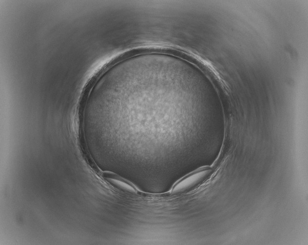 X0000115731319200912031357