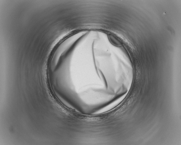 X0000115731325200912031357