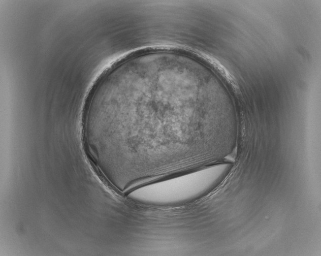 X0000115731327200912031358