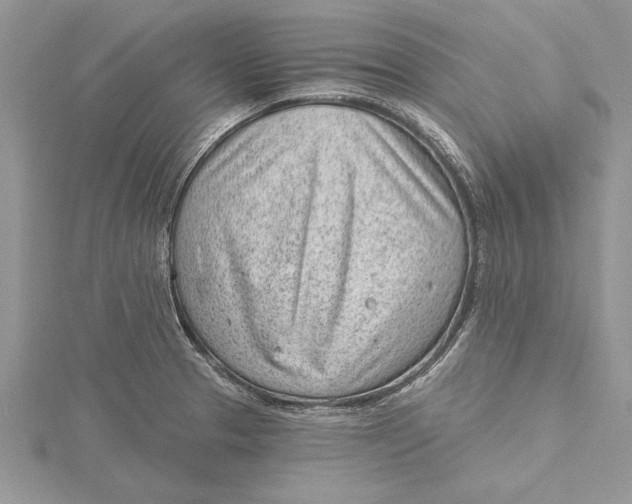 X0000115731329200912031358