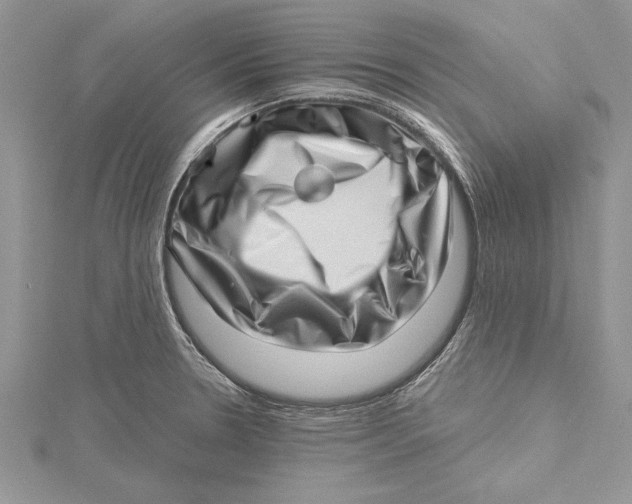 X0000115731330200912031358