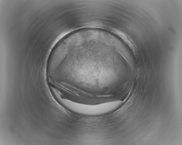 X0000115731331200912031358