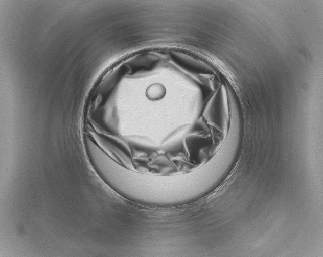 X0000115731334200912031358