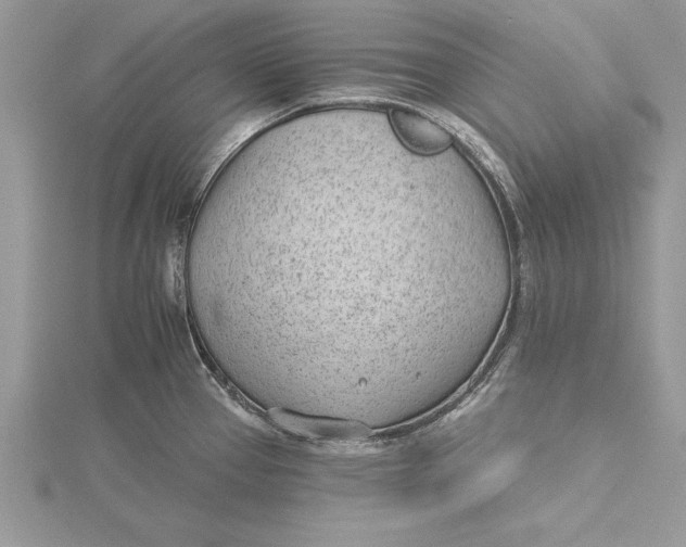 X0000115731337200912031358