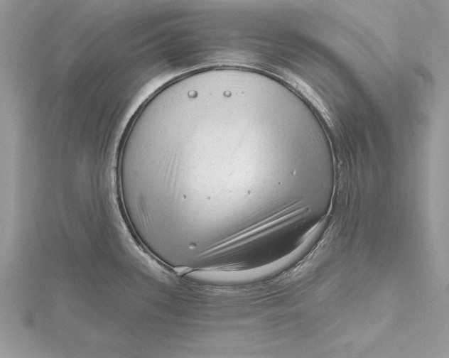 X0000115731339200912031358