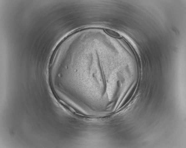 X0000115731341200912031358