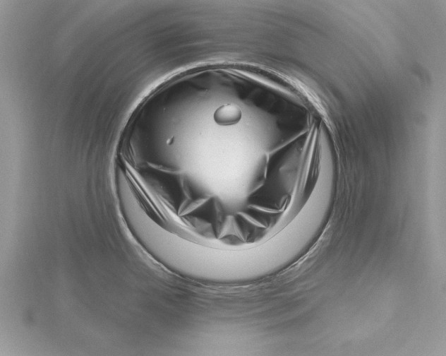 X0000115731342200912031358